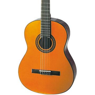 Washburn C40 Cadiz Classical Guitar Satin Natural